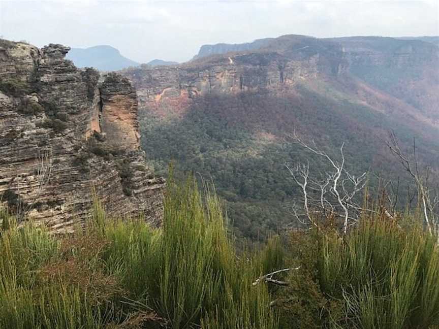 Blue Ribbon Day Tours - Blue Mountain Tours, Sydney, NSW