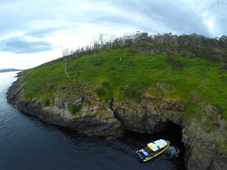 Pennicott Wilderness Journeys - Iron Pot Cruises, Hobart, TAS