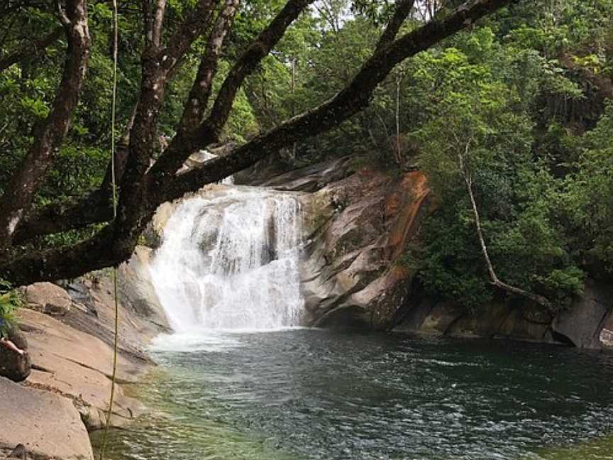 Rainforest Spirit Tours, Cairns City, QLD