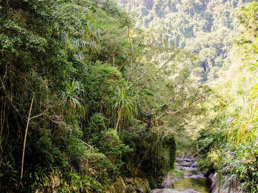 Rainforest Spirit Tours, Cairns City, QLD