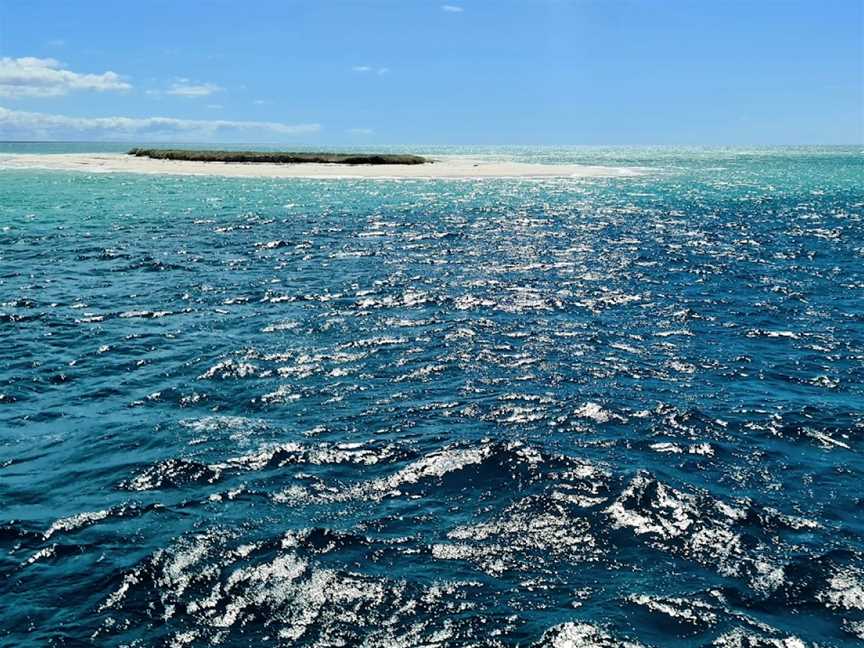 Hervey Bay Whale Watch, Urangan, QLD