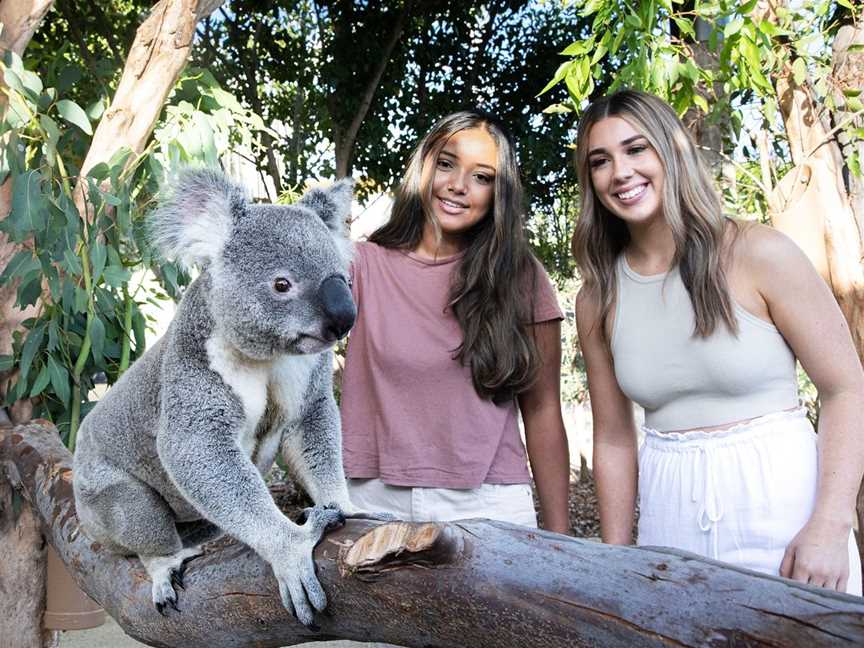 Blue Diamond Tours, Sydney, NSW