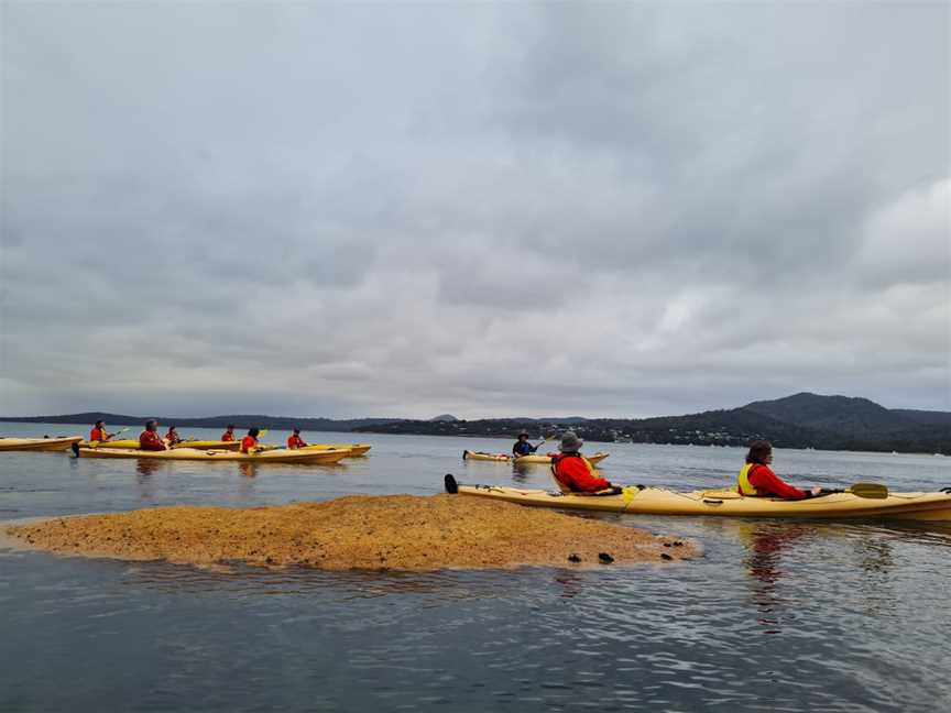 Freycinet Adventures, Coles Bay, TAS