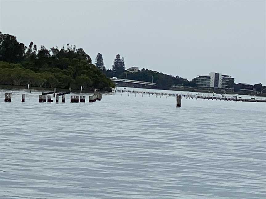 Free Spirit Cruises, Forster, NSW