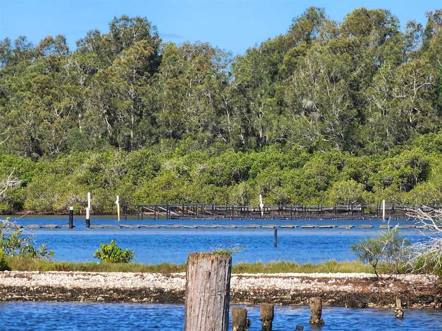 Free Spirit Cruises, Forster, NSW