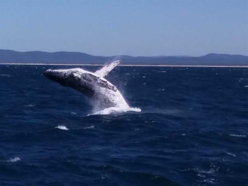 Free Spirit Cruises, Forster, NSW