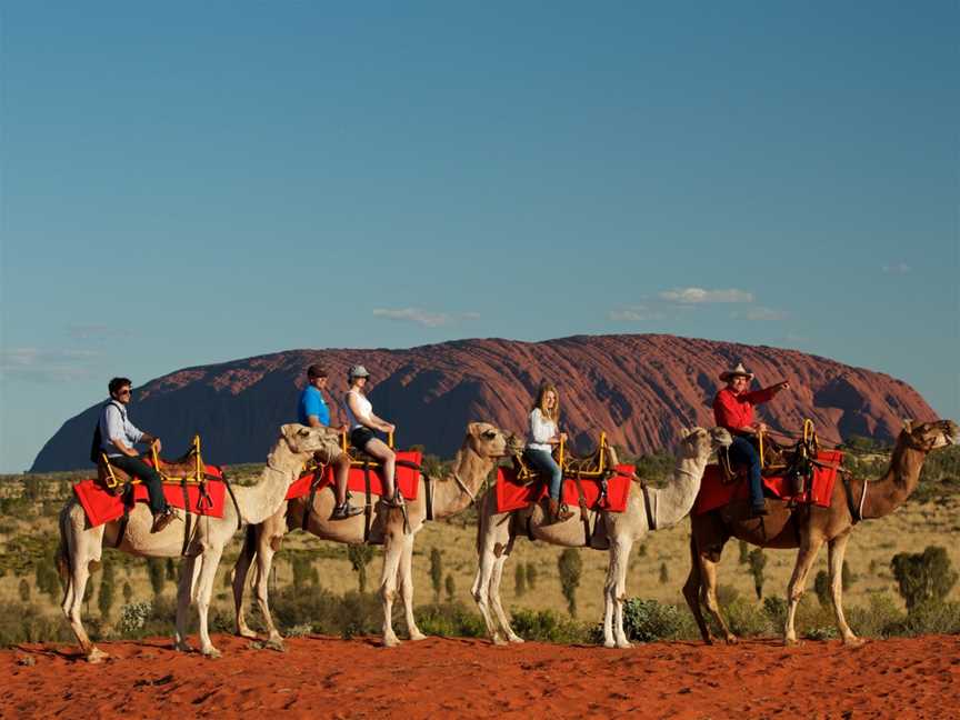 Uluru Camel Tours, Tours in Yulara