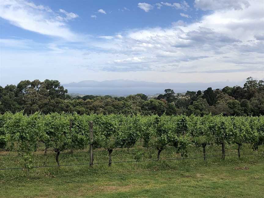 Peninsula Wine Tours, Mornington, VIC