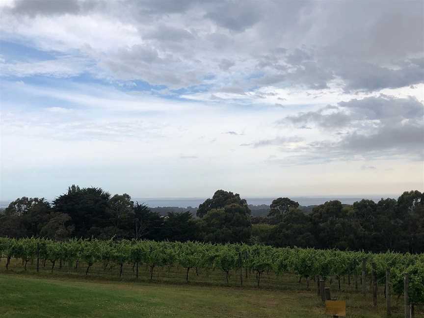 Peninsula Wine Tours, Mornington, VIC