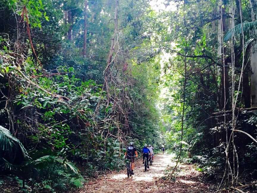 Mountain Bike Day Tours, Byron Bay, NSW