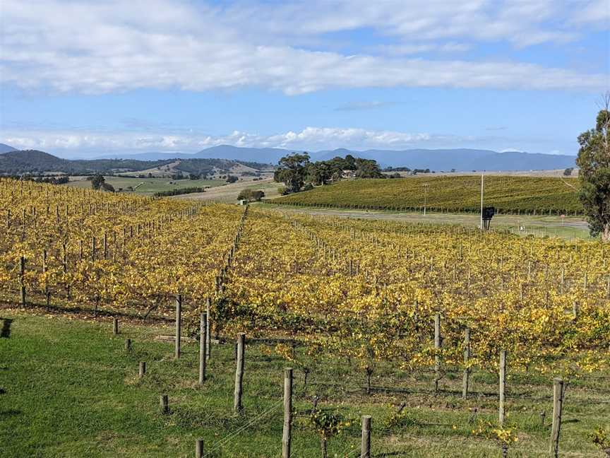 Yarra Valley Wine Tasting Tours, Melbourne, VIC