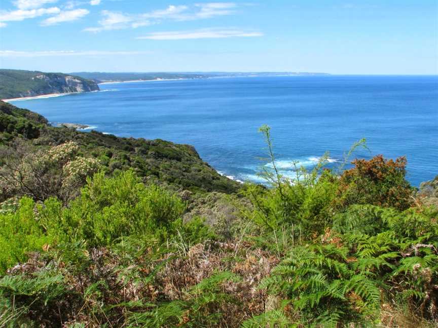 Walk 91, Apollo Bay, VIC