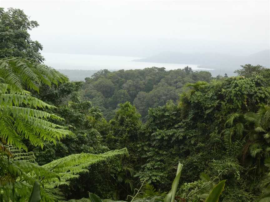 Discovery Tours Australia, Cairns City, QLD