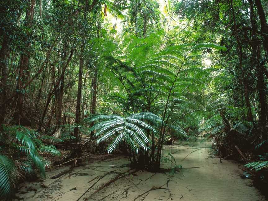 Fraser Island Adventure Tours, Noosaville, QLD