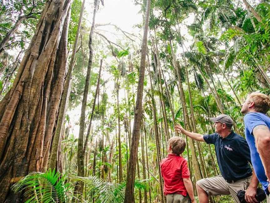 Southern Cross Tours, Surfers Paradise, QLD