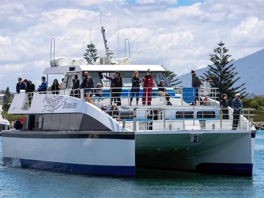 Go Whale Watching Sydney, Sydney, NSW