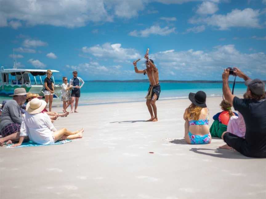 Hervey Bay Eco Marine Tours, Urangan, QLD