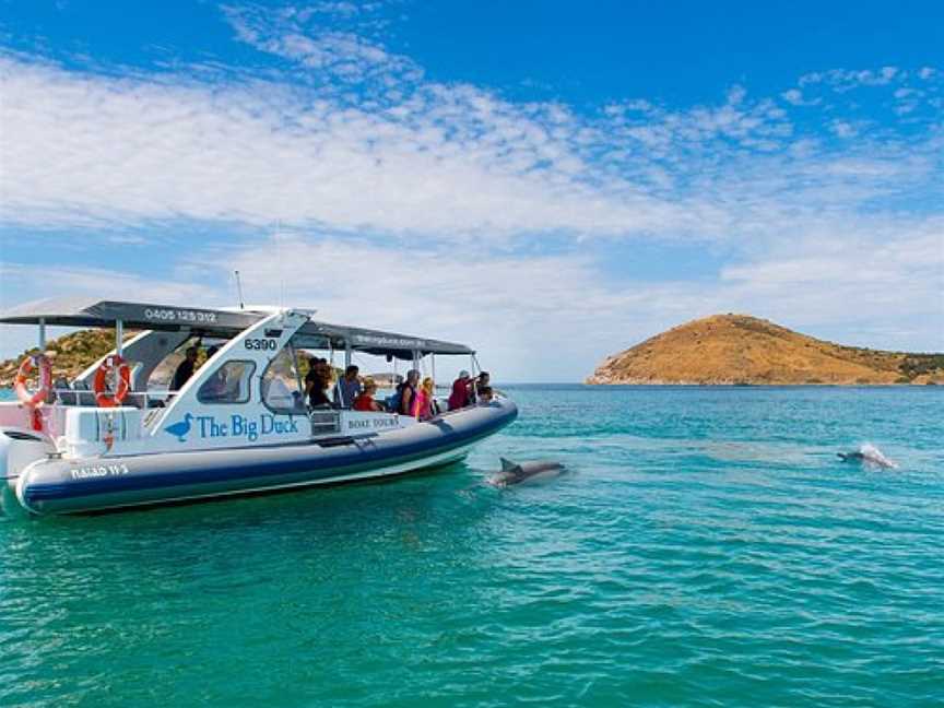 The Big Duck Boat Tours, Victor Harbor, SA