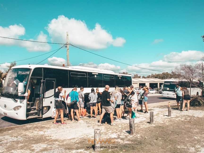 Nomads Fraser Island Tours, Fraser Island, QLD