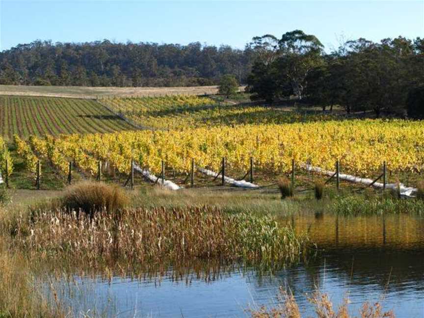 Boutique Wine Tours Tasmania, Hobart, TAS