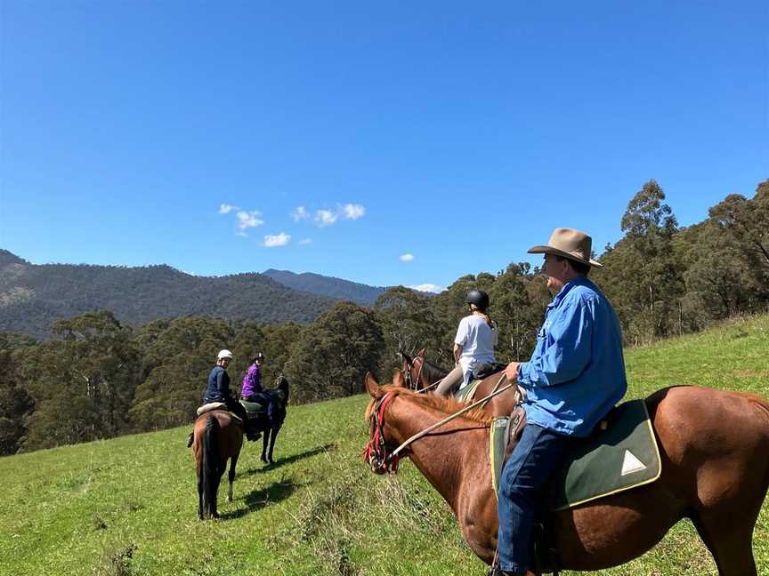 Watson's Mountain Country Trail Rides - Day Tours, Mansfield, VIC