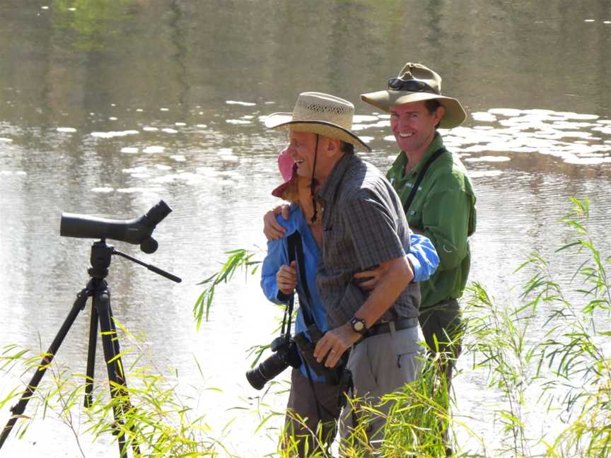 NT Bird Specialists - Birding & Photographic Safaris, Darwin, NT