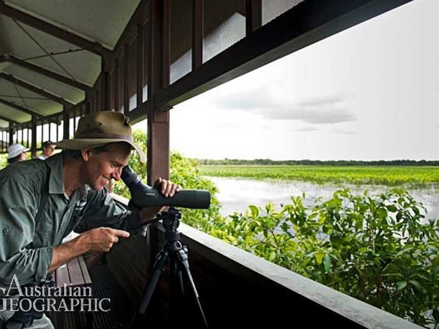 NT Bird Specialists - Birding & Photographic Safaris, Darwin, NT