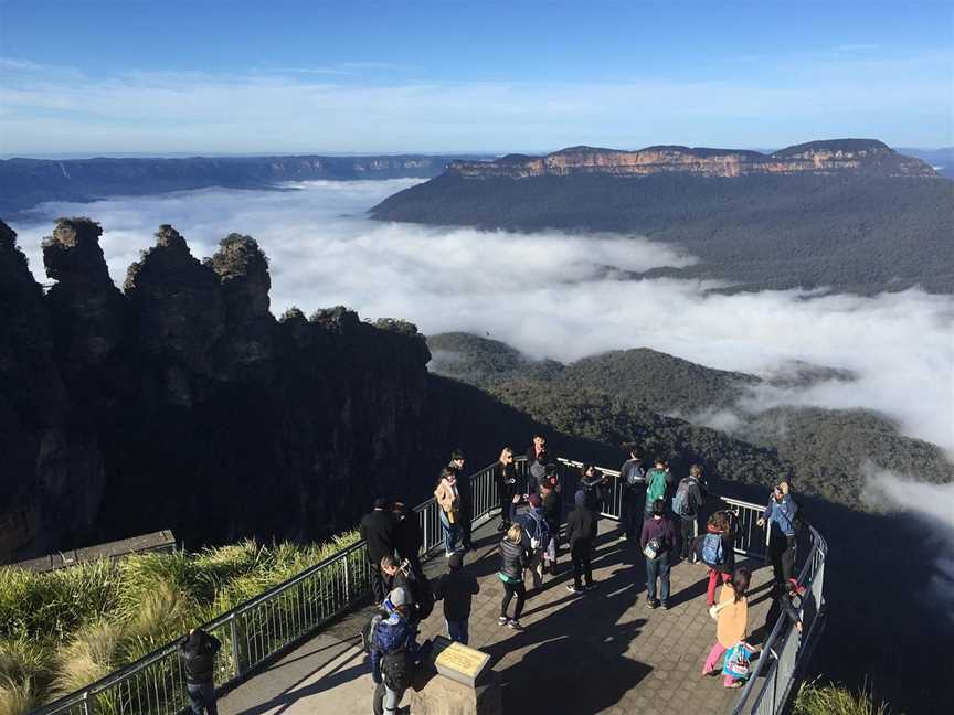 PJ Tours, Sydney, NSW