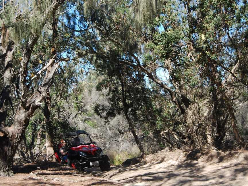 Gold Coast Island Buggy Tours, Main Beach, QLD