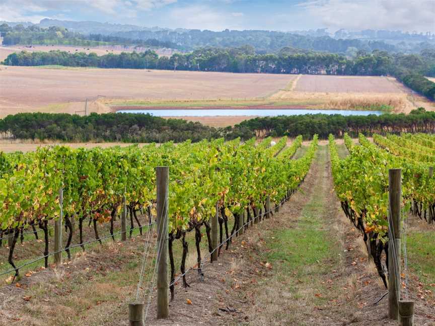 Wine Tours Victoria, Melbourne, VIC