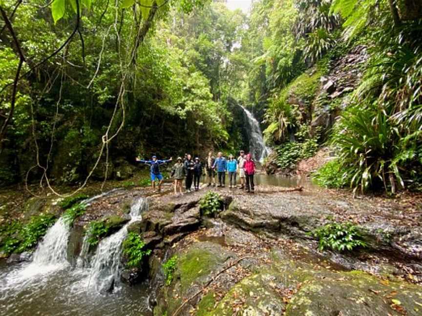 Rainforest Tours Australia, South Brisbane, QLD