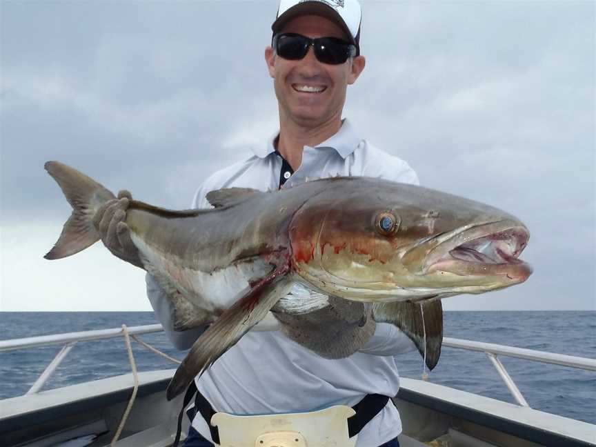 Out n About Sportfishing Tours, Port Douglas, QLD