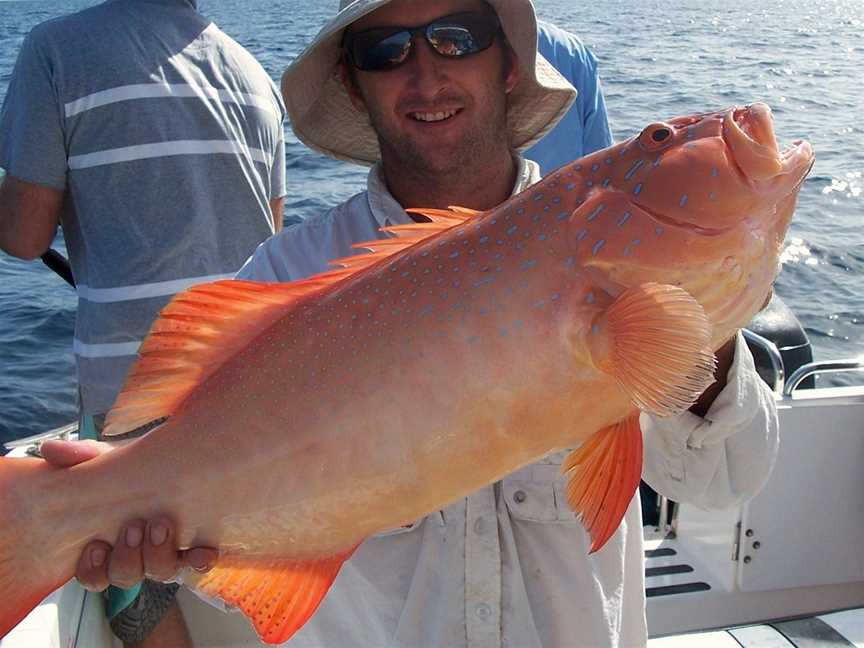 Out n About Sportfishing Tours, Port Douglas, QLD