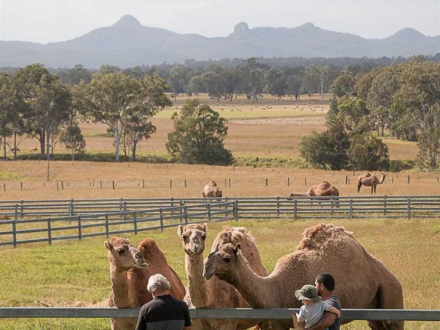 Prestige Day Tours, Brisbane, QLD