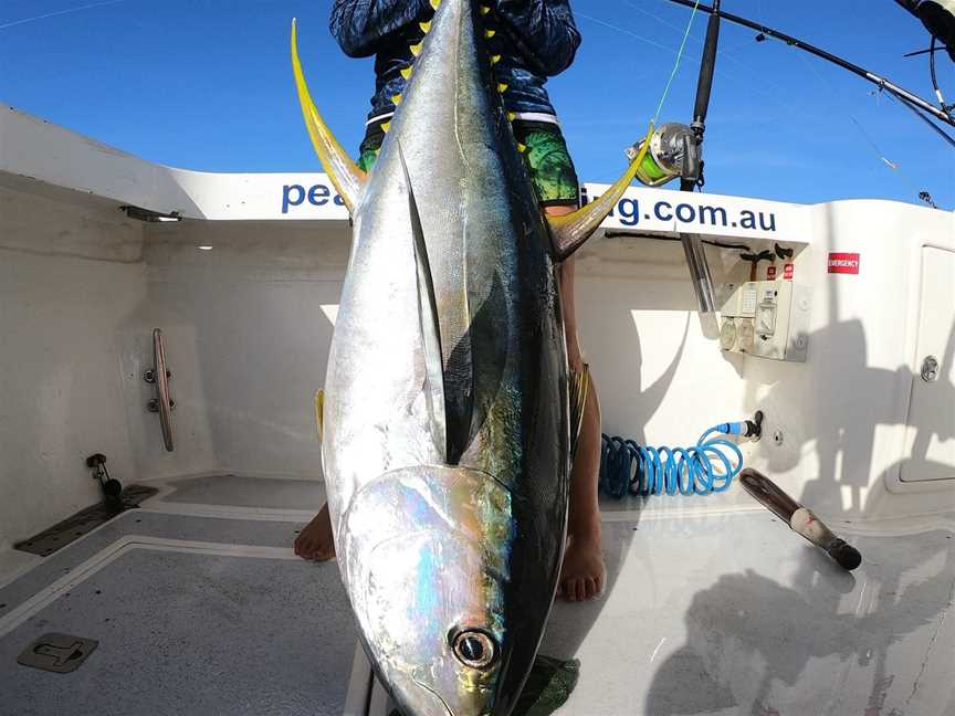 Peak Sportfishing Adventures, Exmouth, WA