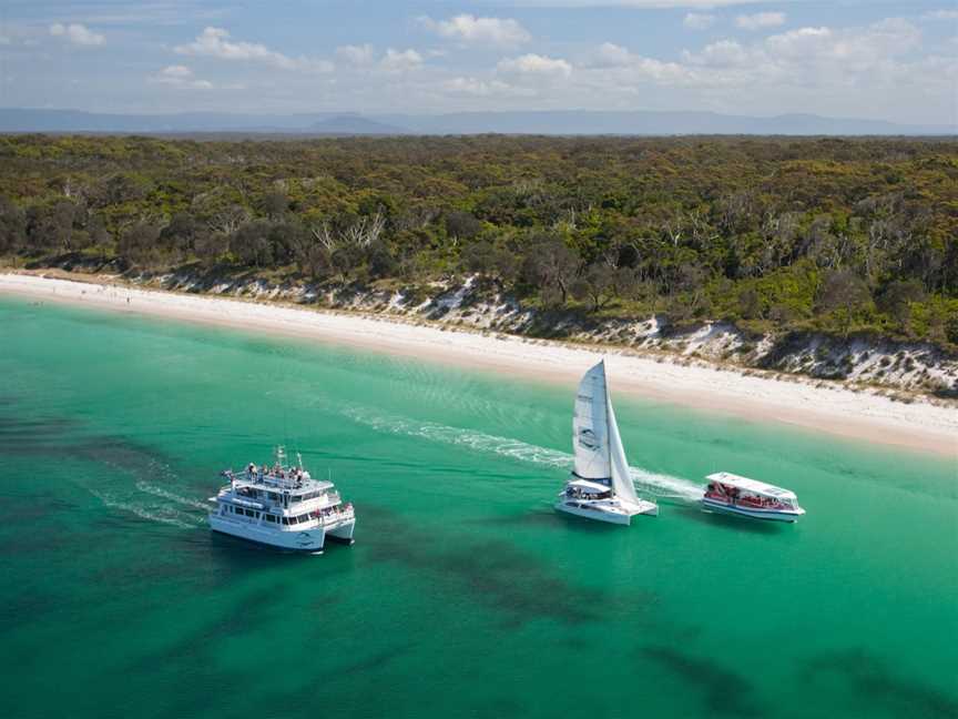 Dolphin Watch Cruises, Huskisson, NSW