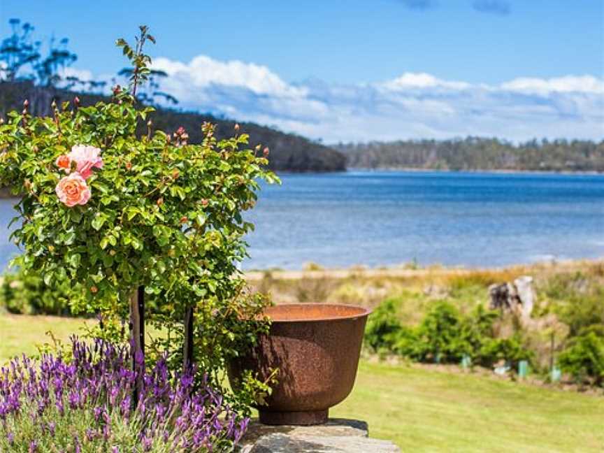 Port Arthur Lavender Farm · Tourist Attraction, Port Arthur, TAS