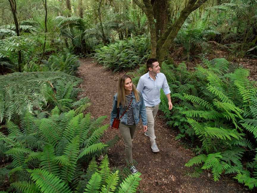 Great Ocean Road Auto Tours - Private Day Tours, Apollo Bay, VIC