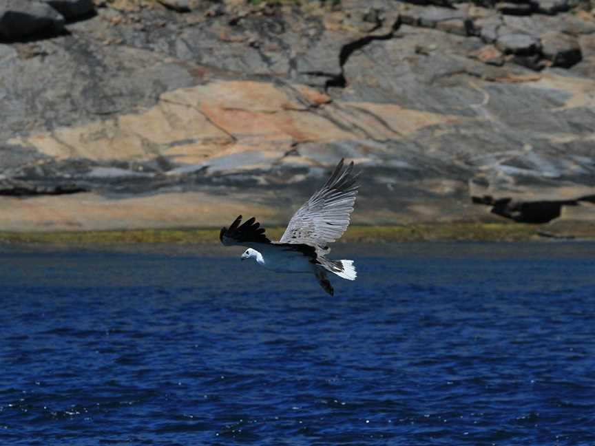 Esperance Island Cruises, Esperance, WA