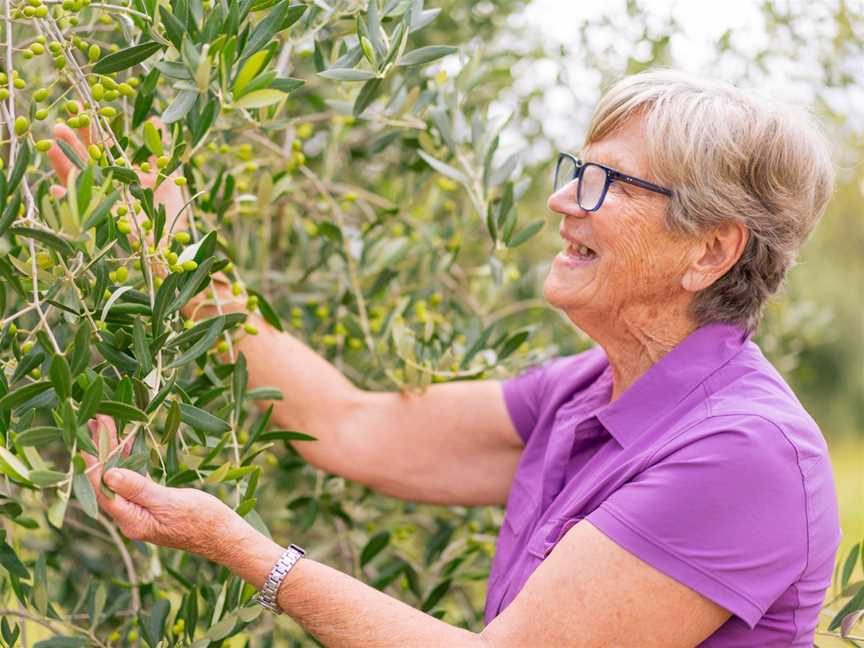 Country Food Trails, Orange, NSW