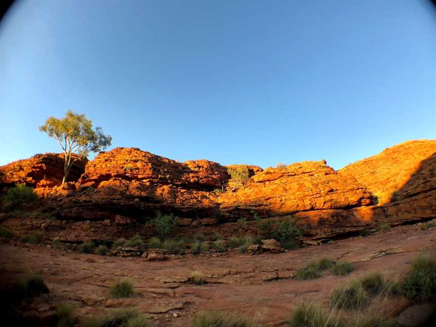 Outback Tour Services, Alice Springs, NT