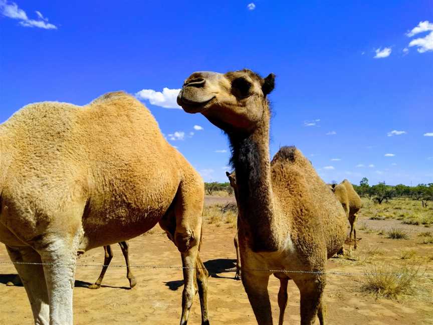 North West Tours, Mount Isa, QLD