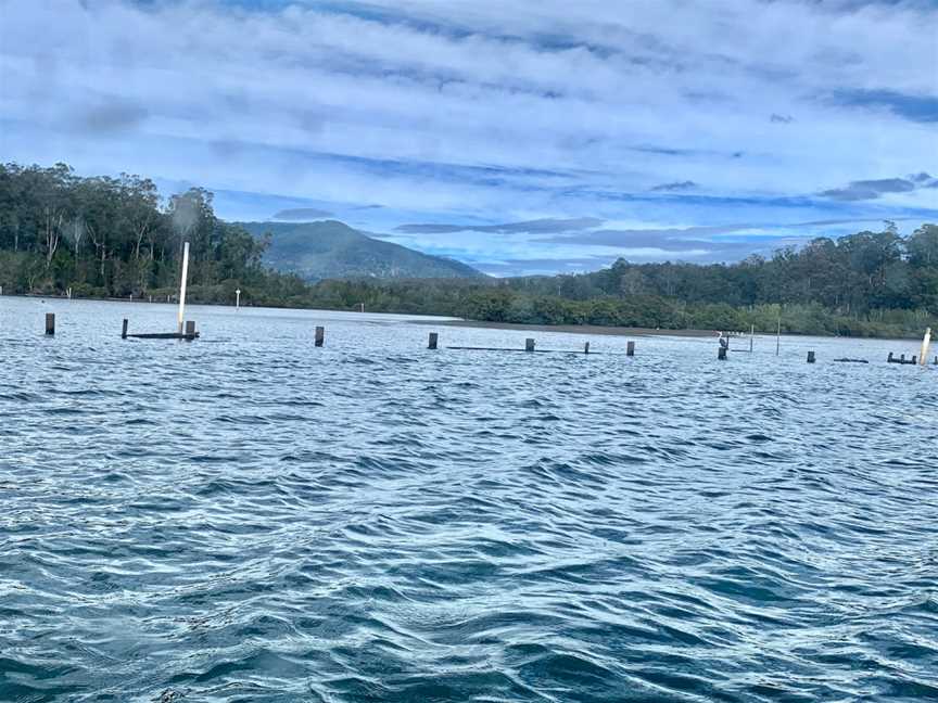 Wagonga Inlet Cruises, Narooma, NSW