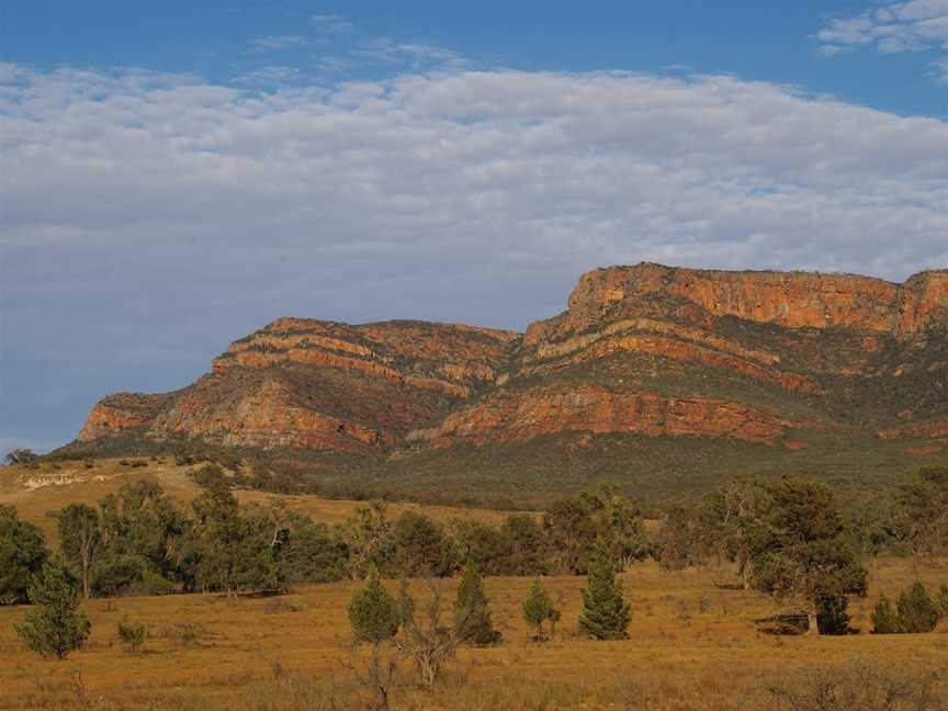 Wallaby Tracks Adventure Day Tours, Quorn, SA