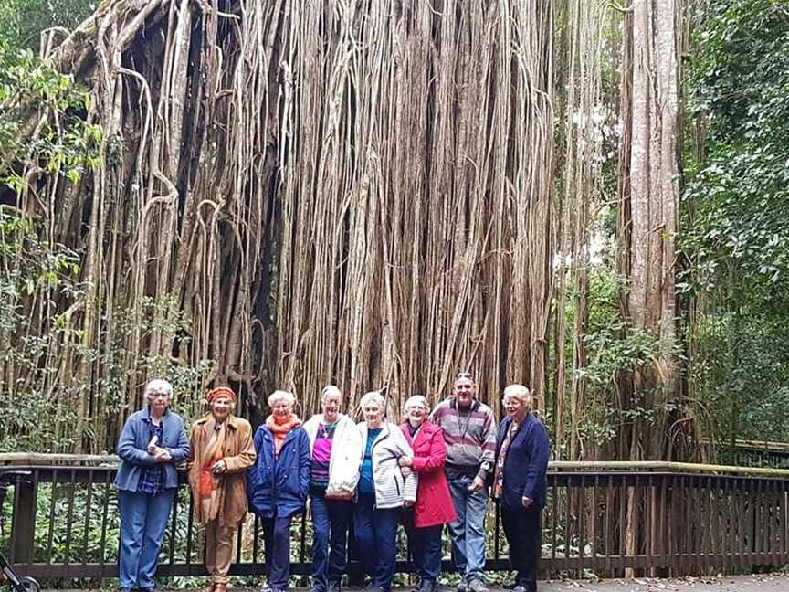 Raven Tours, Townsville, QLD