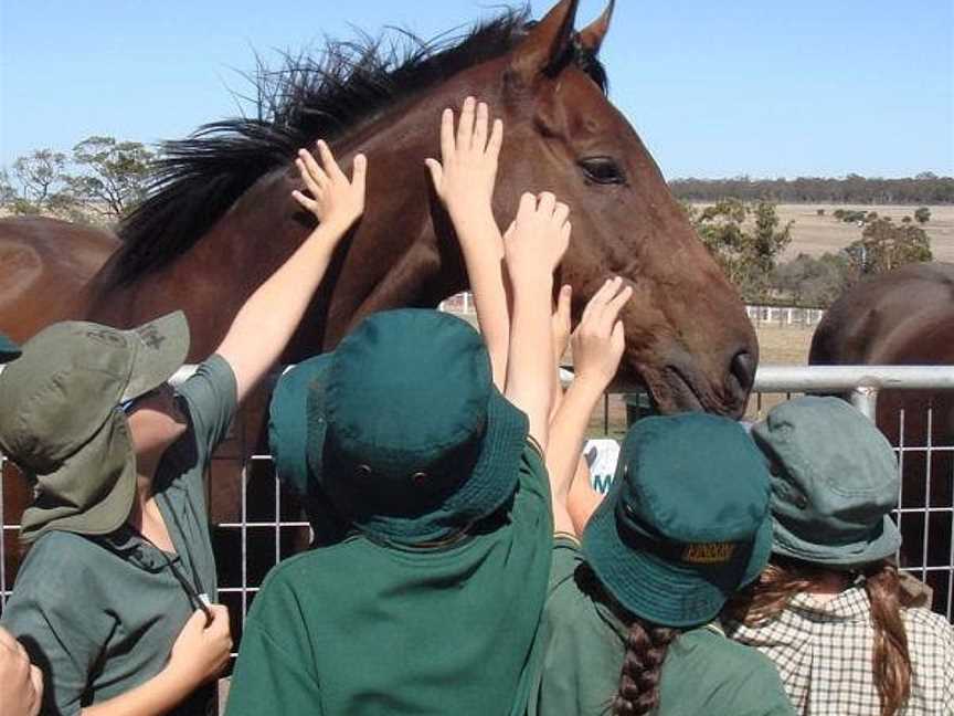 Living Legends, Greenvale, VIC