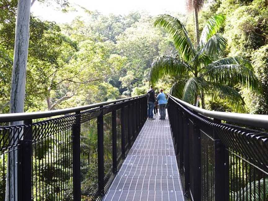 Tamborine Rainforest Skywalk, Tamborine Mountain, QLD