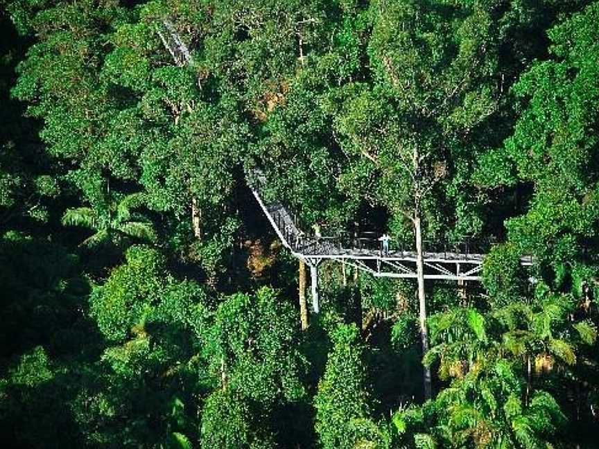 Tamborine Rainforest Skywalk, Tamborine Mountain, QLD