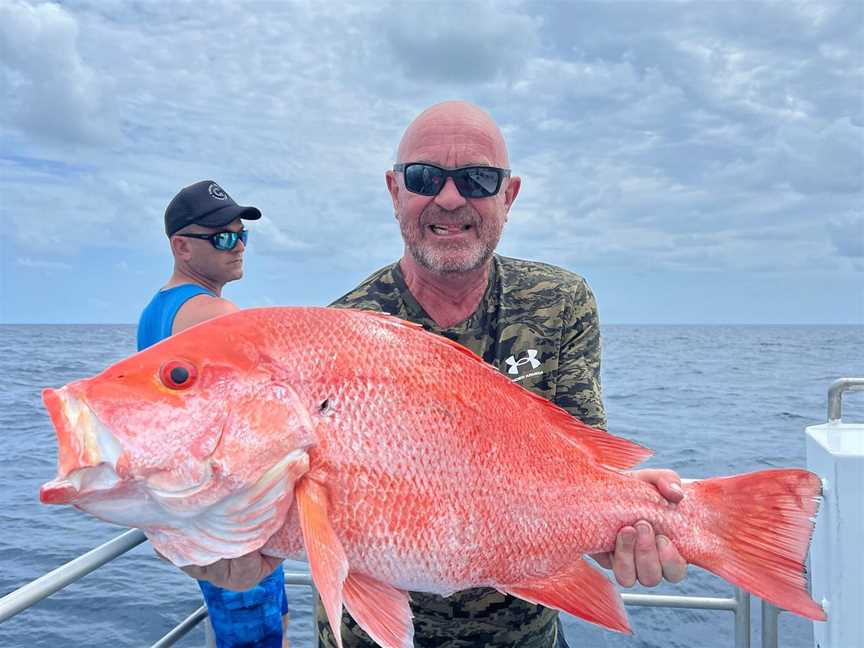 Norseman Reef Fishing, Port Douglas, QLD