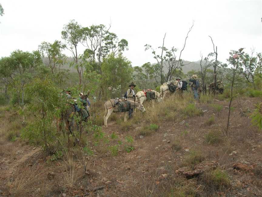 Wilderness Expeditions Tasmania Pty Ltd, Tasmania, TAS